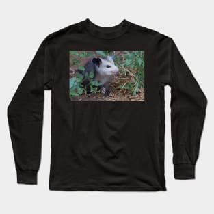 Young Possum Long Sleeve T-Shirt